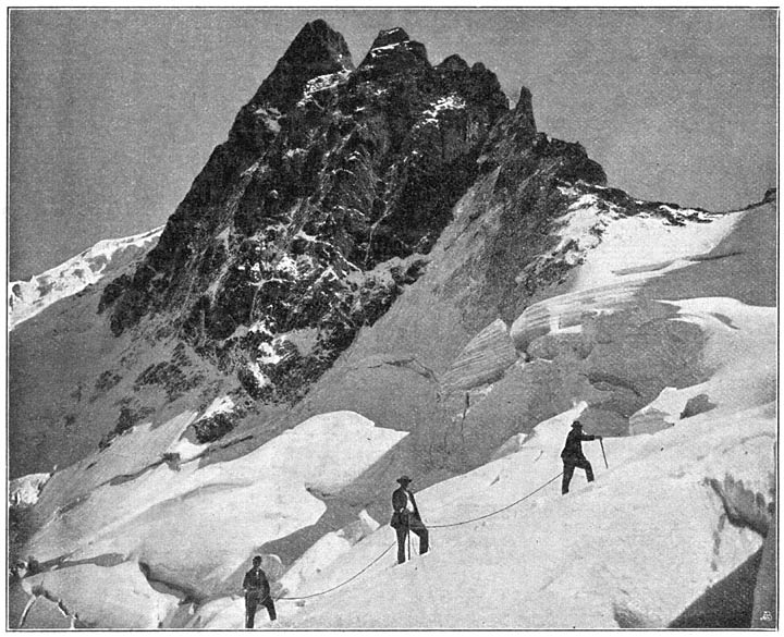 Noordwand van den Meije (van af den Glacier de la Meije).