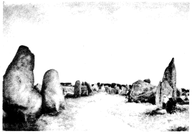 Stone Alignments at Kermaris, Carnac Stone Alignments at Kermaris, Carnac