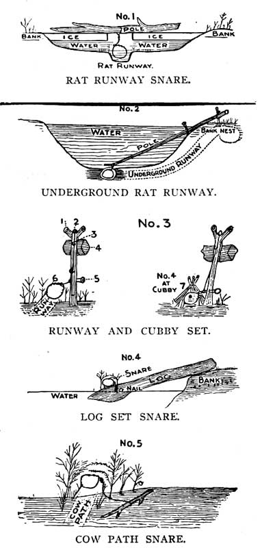 RAT RUNWAY SNARE. UNDERGROUND RAT RUNWAY. RUNWAY AND CUBBY SET. LOG SET SNARE. COW PATH SNARE.