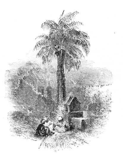 Ghánim in the Palm-tree