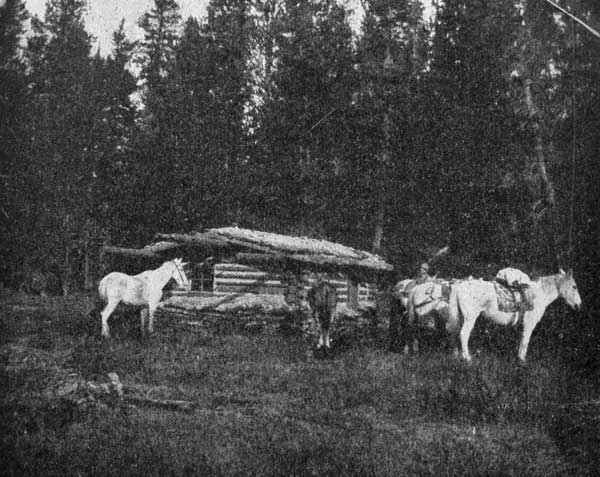 TRAPPER'S CABIN AND PACK HORSES.