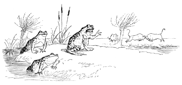 A frog lectures a group of other frogs while they watch some fighting bulls.