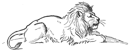 A lion.