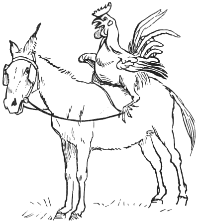 A cock riding an ass.