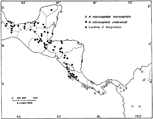 Locality Map - Hyla microcephala Locality Map - Hyla microcephala