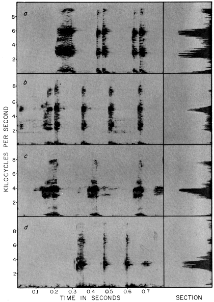 Audiospectrograms Audiospectrograms