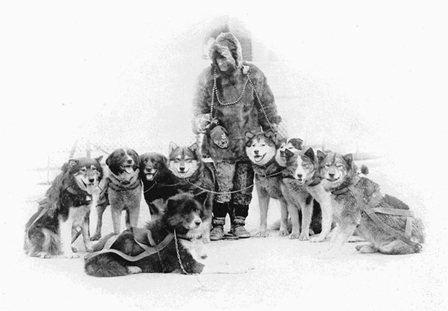 Copyright by E. A. Hegg, Juneau Courtesy of Webster &
Stevens, Seattle

A Famous Team of Huskies