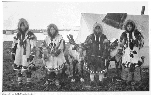 Copyright by F. H. Nowell, Seattle

Four Beauties of Cape Prince of Wales with Sled Reindeer of the American
Missionary Herd