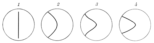 Fig. 83.—Effect of the sun's peculiar rotation in warping a meridian, originally
straight.