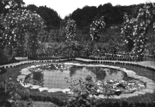 A POND-LILY POOL OF A VERY ATTRACTIVE SHAPE