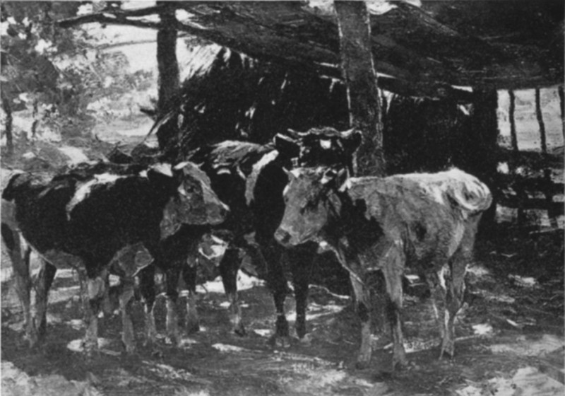 Cattle in Sunshine. Heinrich von Zugel, 1850-