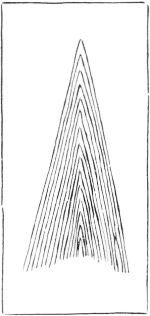 Diagram of Radial Section of Log (exaggerated) Showing Annual Cones of Growth.