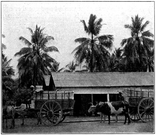 On its Road to the Railway: Bullock-Cart Transport
