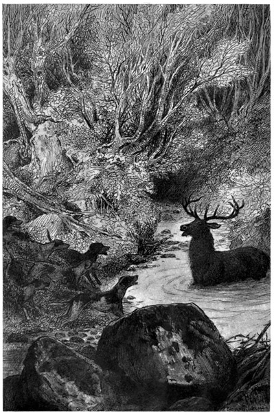 Hounds baying at a stag that is trapped in a pond.