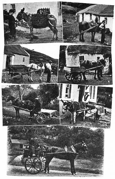 THE EVOLUTION OF THE JAUNTING CAR