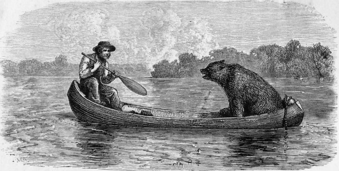 Fisher and the Bear