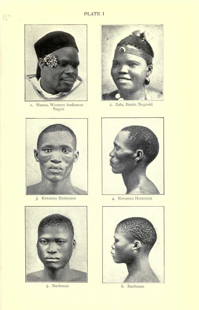 1. Hausa, Western Sudanese Negro