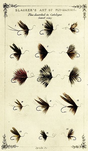 Plate of 15 Trout-flies.