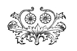 Sektion 2 Fuss; leaves and daisy-like flowers in face-like configuration with flowers for eyes and leaves for moustache