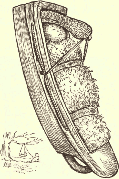 Chinook Baby in Cradle. (From Mason.) Illustration.
