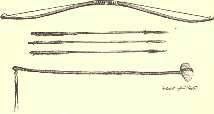 Group of Weapons. (From Originals in Peabody Museum, Cambridge.) Illustration.