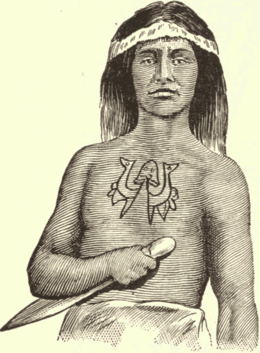 Tattooing on a Haida Man. (From Mallery.) Illustration.