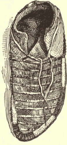 Sioux Moccasin. (From Original in Peabody Museum.) Illustration.