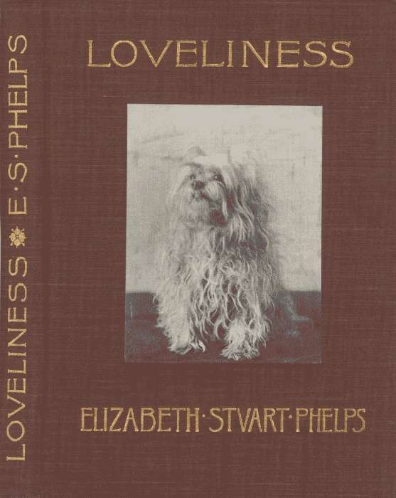 Cover: LOVELINESS