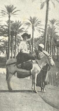 Donkey Boy, Cairo