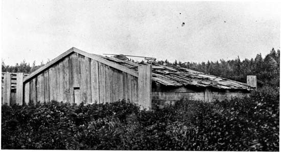 Fig. 4. The Whale House of the Chilkat.