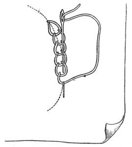 Fig. 2.—Chain Stitch.