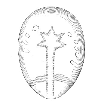 Fig. 56.