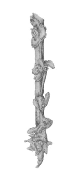 Illustration: Fig. 45.—Zoarium of
Stolella indica on stem of water-plant (from Calcutta),  6.