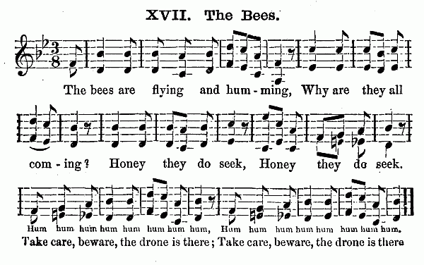 The Bees music