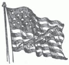 THE RATTLESNAKE FLAG.