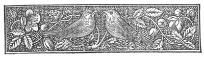 Illustration: Banner of two birds