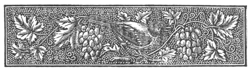 Illustration: Banner of bird
