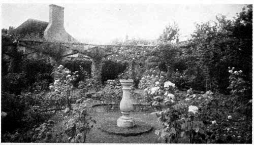 An English rose garden