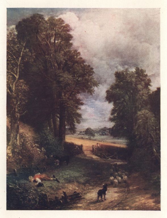 PLATE III.—THE CORNFIELD, OR COUNTRY LANE.