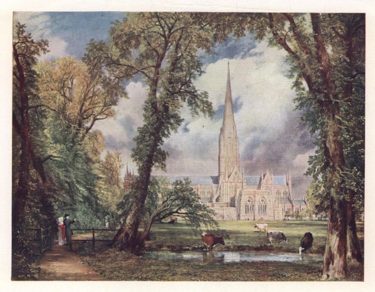 PLATE VII.—SALISBURY CATHEDRAL FROM THE BISHOP'S GARDEN.