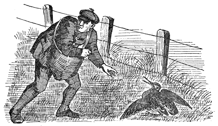 Poacher with Grouse by Wire Fence