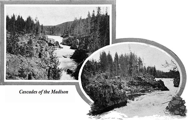 Cascades of the Madison and Below the Cascades