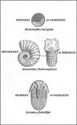 Tertiary or
Cainozoic, Secondary or Mesozoic, Primary or Paleozoic
