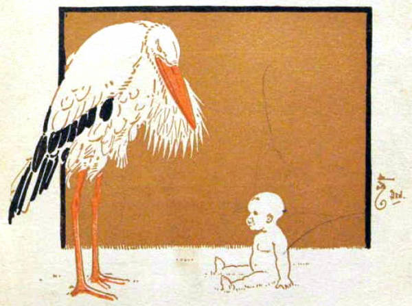 A stork and a baby