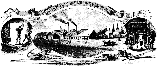 AUGUSTUS R. MEYER AND COMPANY'S ORE MILL.