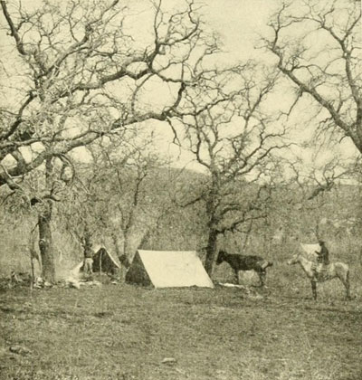 Camp at Oak Spring,
Uinkaret Mountains.