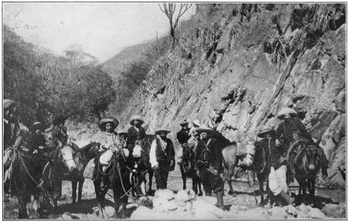 A Cavalcade in the Andes.