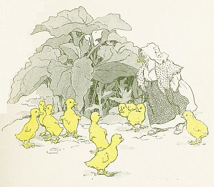 Duckilings by burdock meeing Chicken