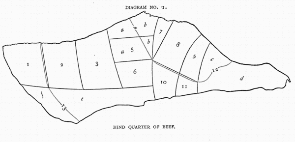 Diagram No. 1. Hind Quarter of Beef.