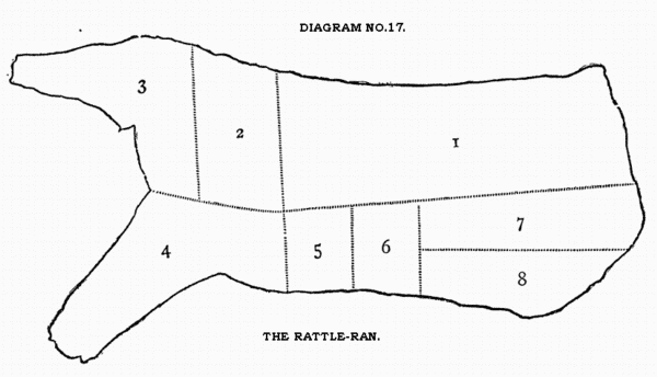 DIAGRAM NO. 17. THE RATTLE-RAN.